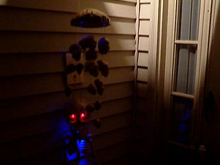 Greg Skeleton Video.AVI